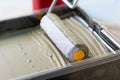 E-volution roller cover and paint tray